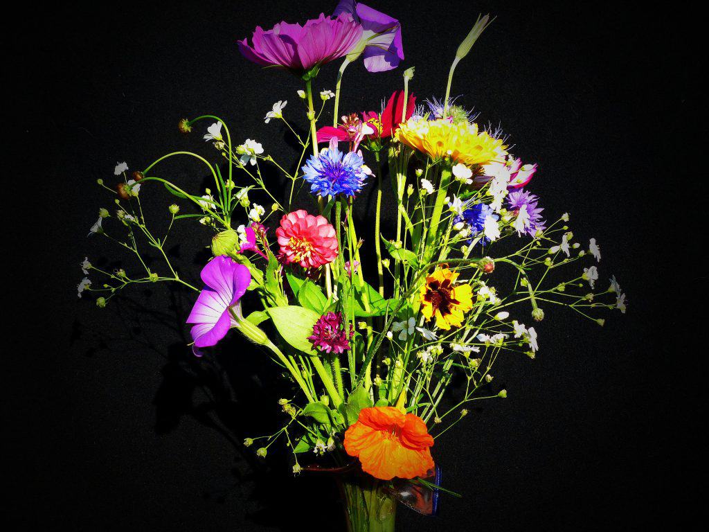 WordPressのカスタム投稿タイプ