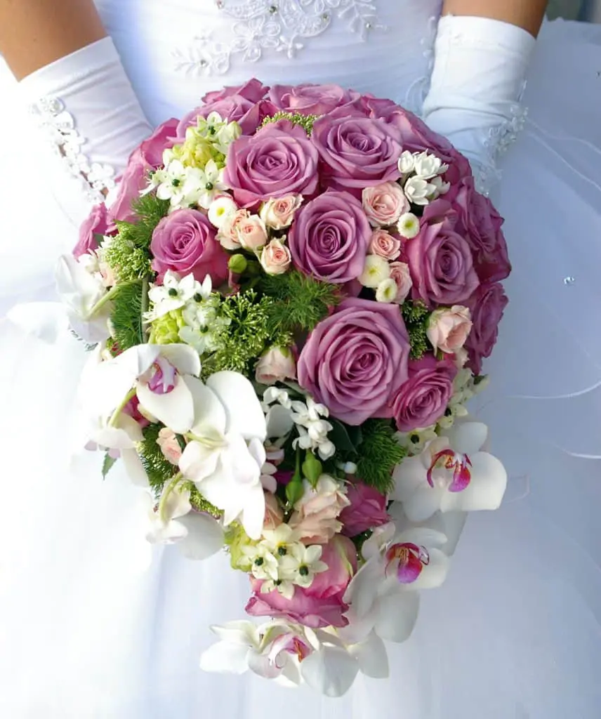 wordpressとの連携うまくいきますように１